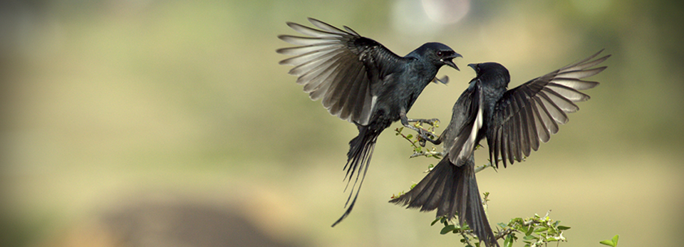 短信测压在线平台